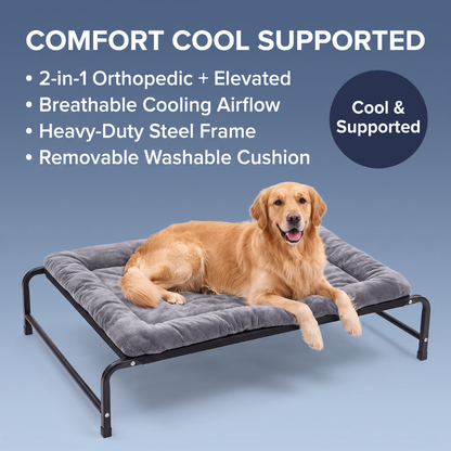 Chevaroo Elevated Orthopedic Dog Bed