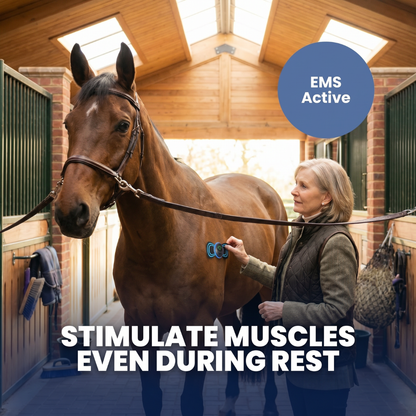 Chevaroo Horse Weight Loss EMS Unit