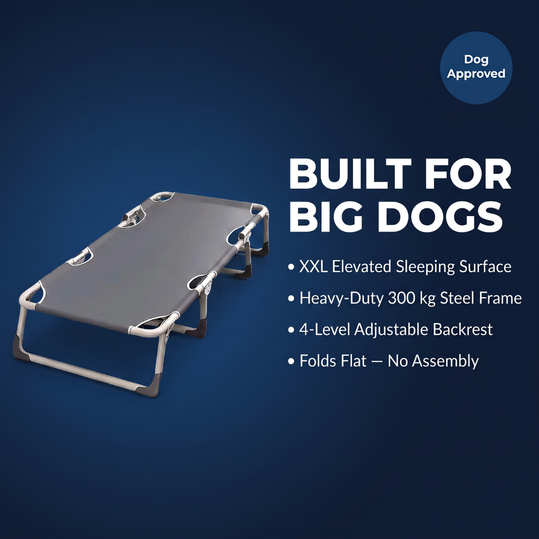 Chevaroo XXL Elevated Foldable Dog Bed