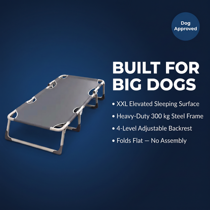 Chevaroo XXL Elevated Foldable Dog Bed