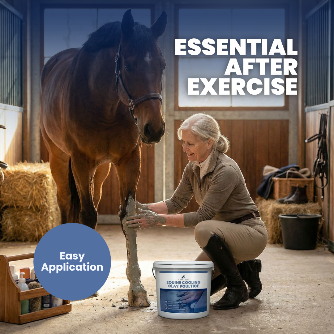 Chevaroo Equine Cooling Clay Poultice