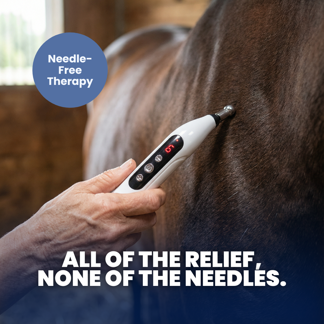 Chevaroo Electronic Acupuncture