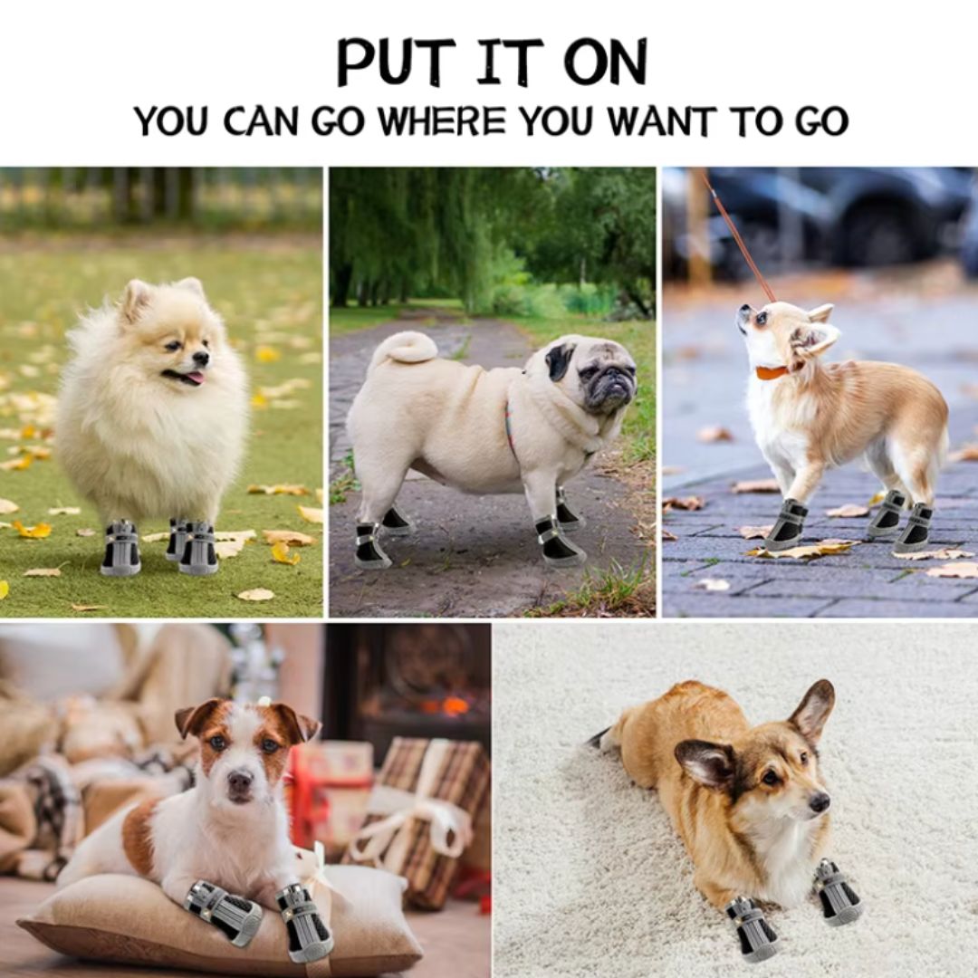 Chevaroo Dog Anti Slip At Home Shoes