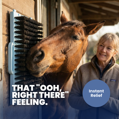 Chevaroo Horse Scratcher 2.0