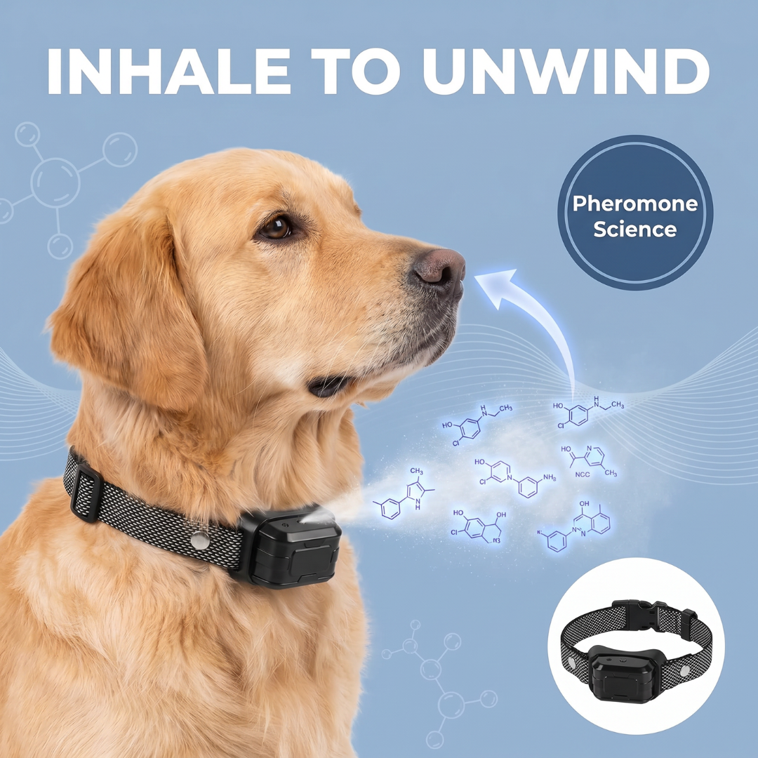 Chevaroo Dog Pheromone Anti-Barking/Calming Collar