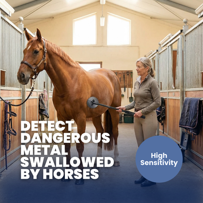 Détecteur de métaux Chevaroo Horse