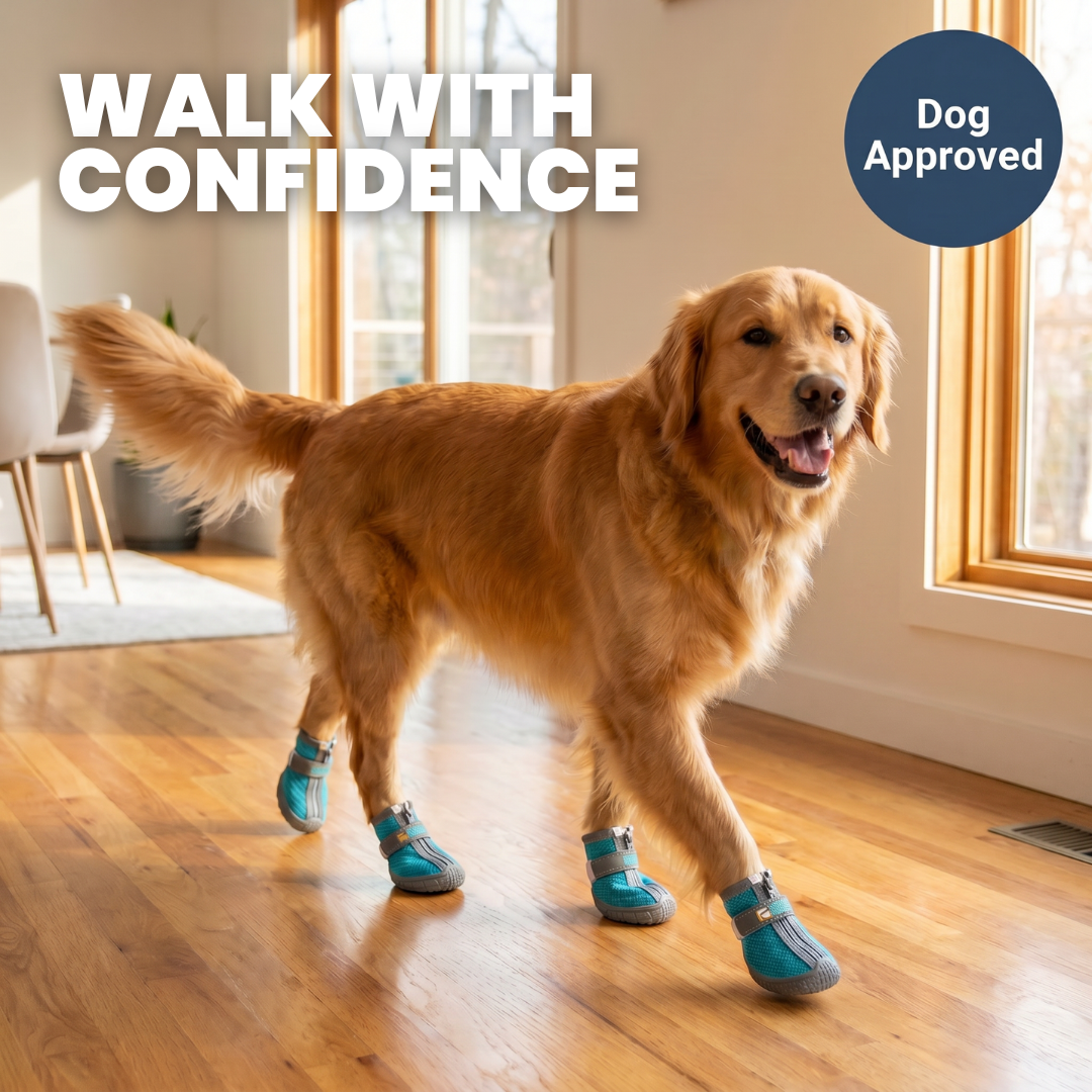 Chevaroo Dog Anti Slip At Home Shoes