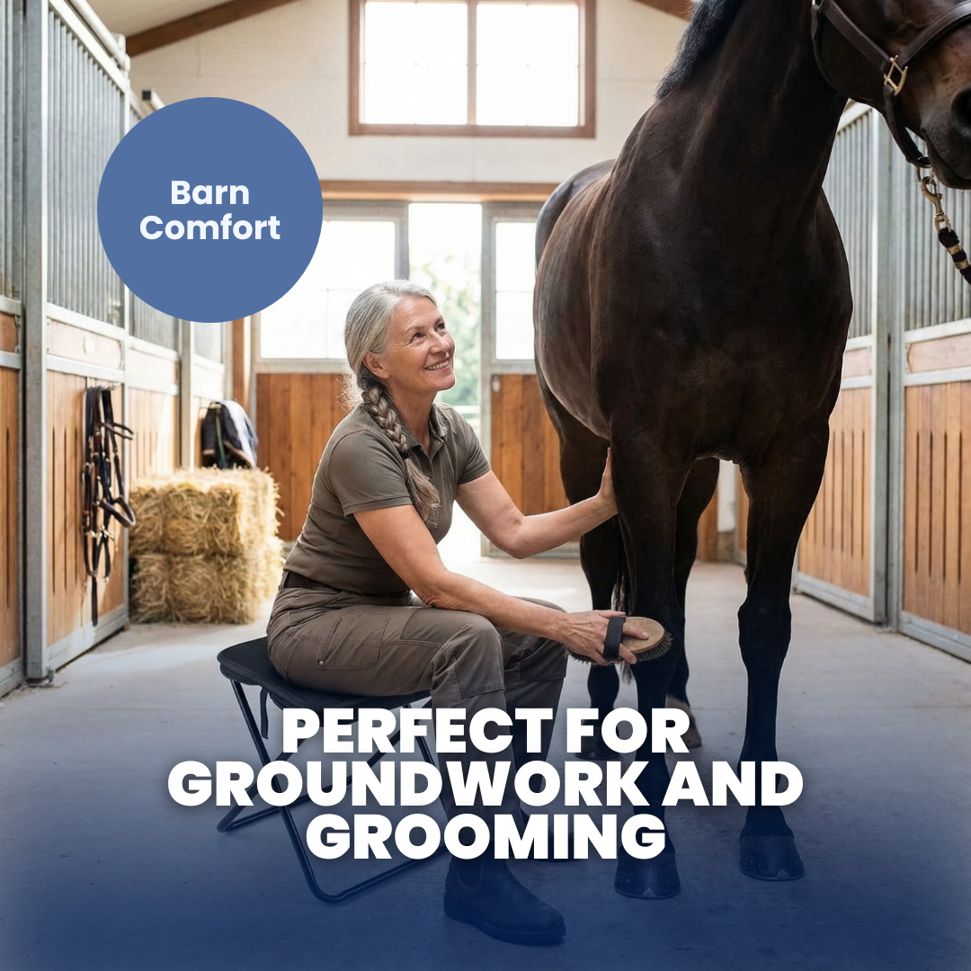 Chevaroo Portable Folding Chair