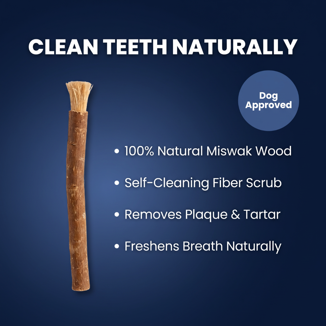 Chevaroo Dog Self-Cleaning XXL Miswak Stick