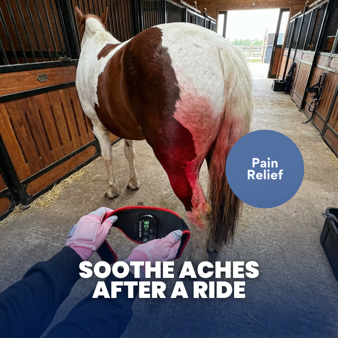 EquiOptimus 3-in-1 Red Light Wrap