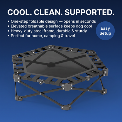 Chevaroo Indoor & Outdoor Elevated Foldable Dog Bed