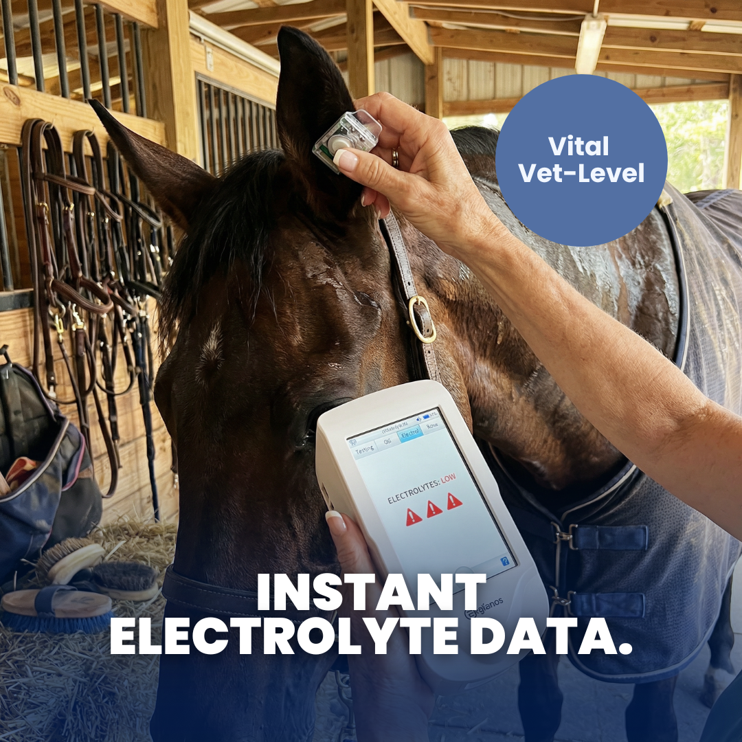 Chevaroo 5-in1 Electrolyte Analyzer