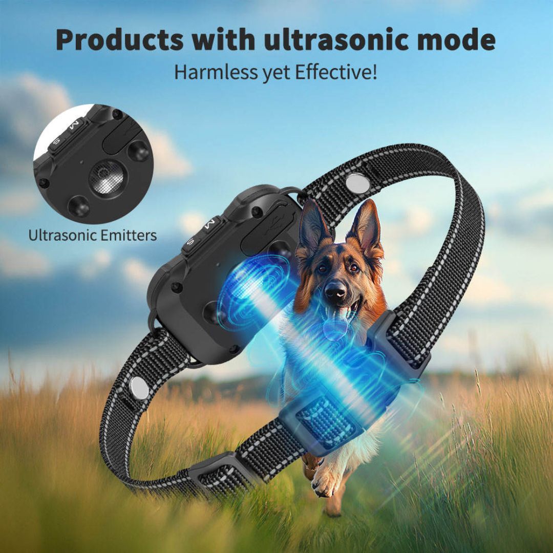 Chevaroo Ultrasonic Deterrent Barking Training Belly Collar