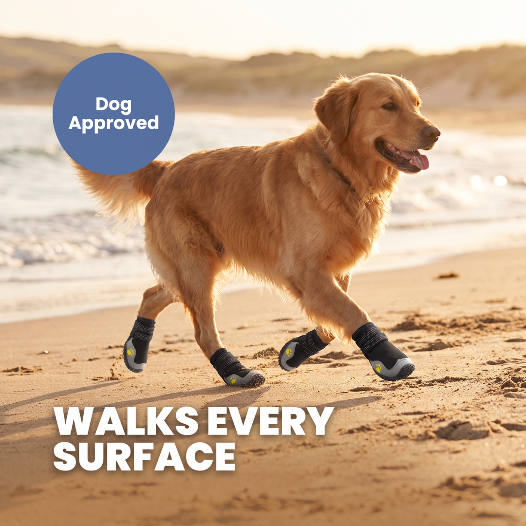 Chevaroo High Thermal Resistence Dog Shoes