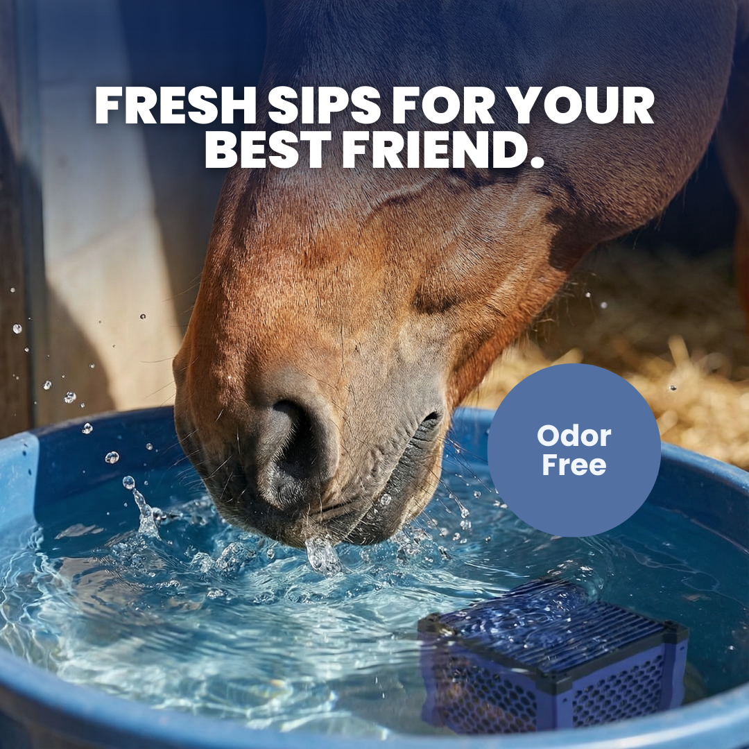 Chevaroo Horse Water Purificator