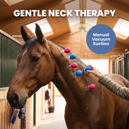 Chevaroo Horse Neck Mini Cupping Therapy
