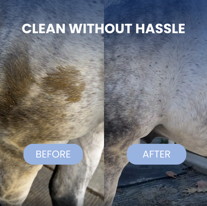 Chevaroo Horse Steam Brush