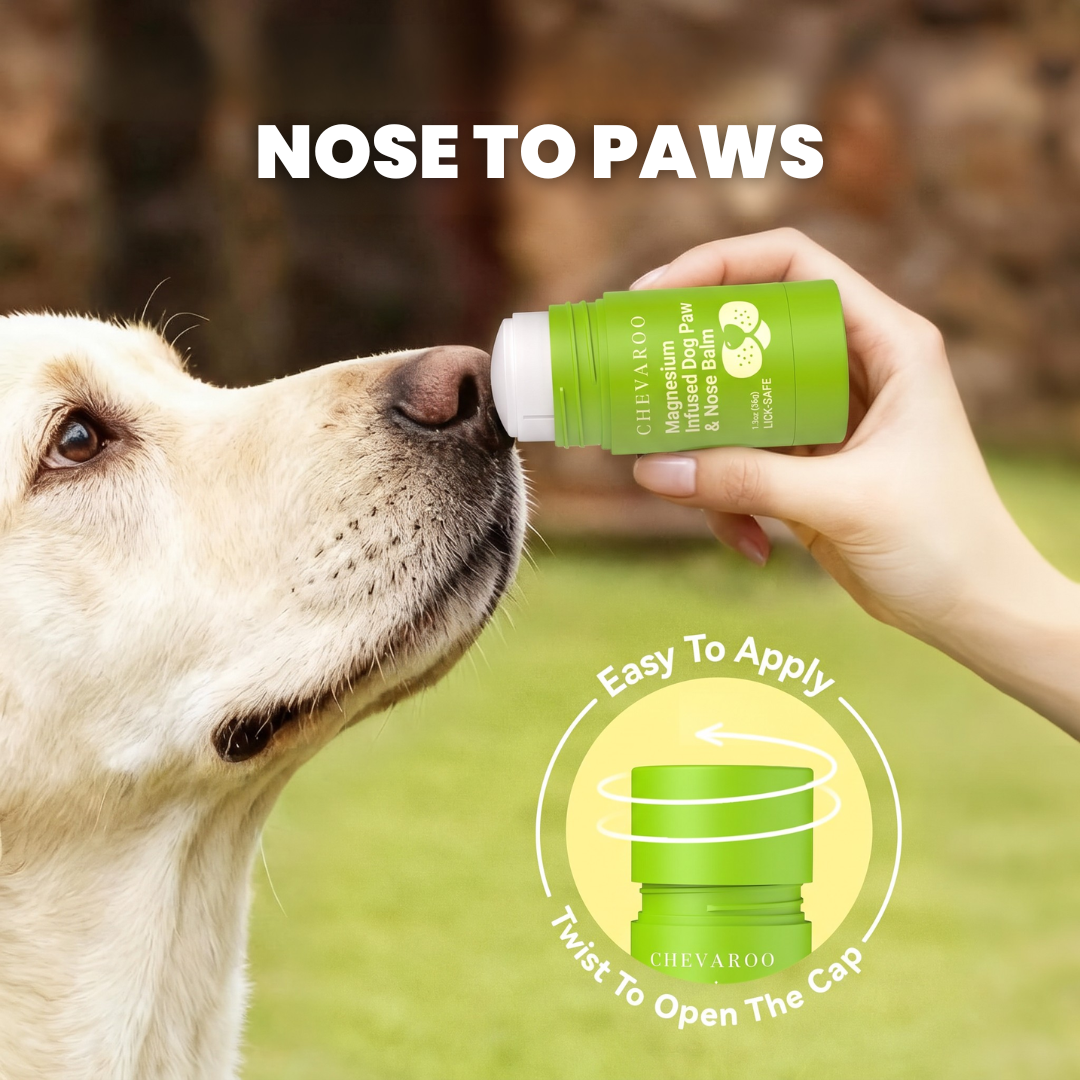 Chevaroo Magnesium Infused Dog Paw & Nose Balm