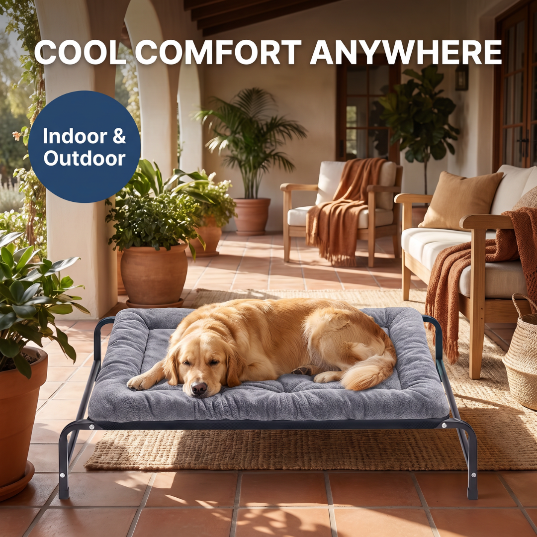 Chevaroo Elevated Orthopedic Dog Bed