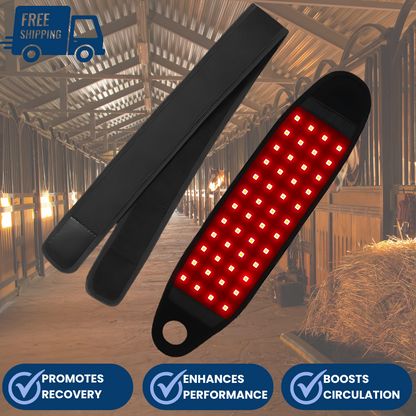 Chevaroo Red Light Device