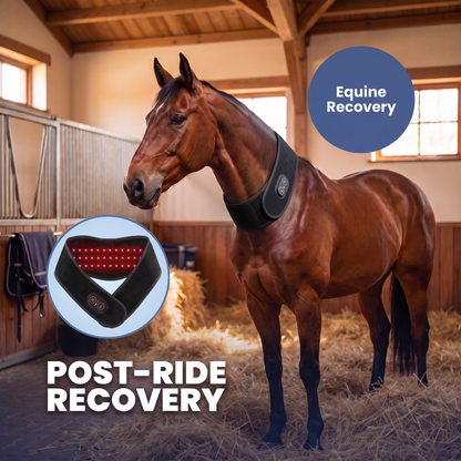 Chevaroo Horse Neck Red Light Massager