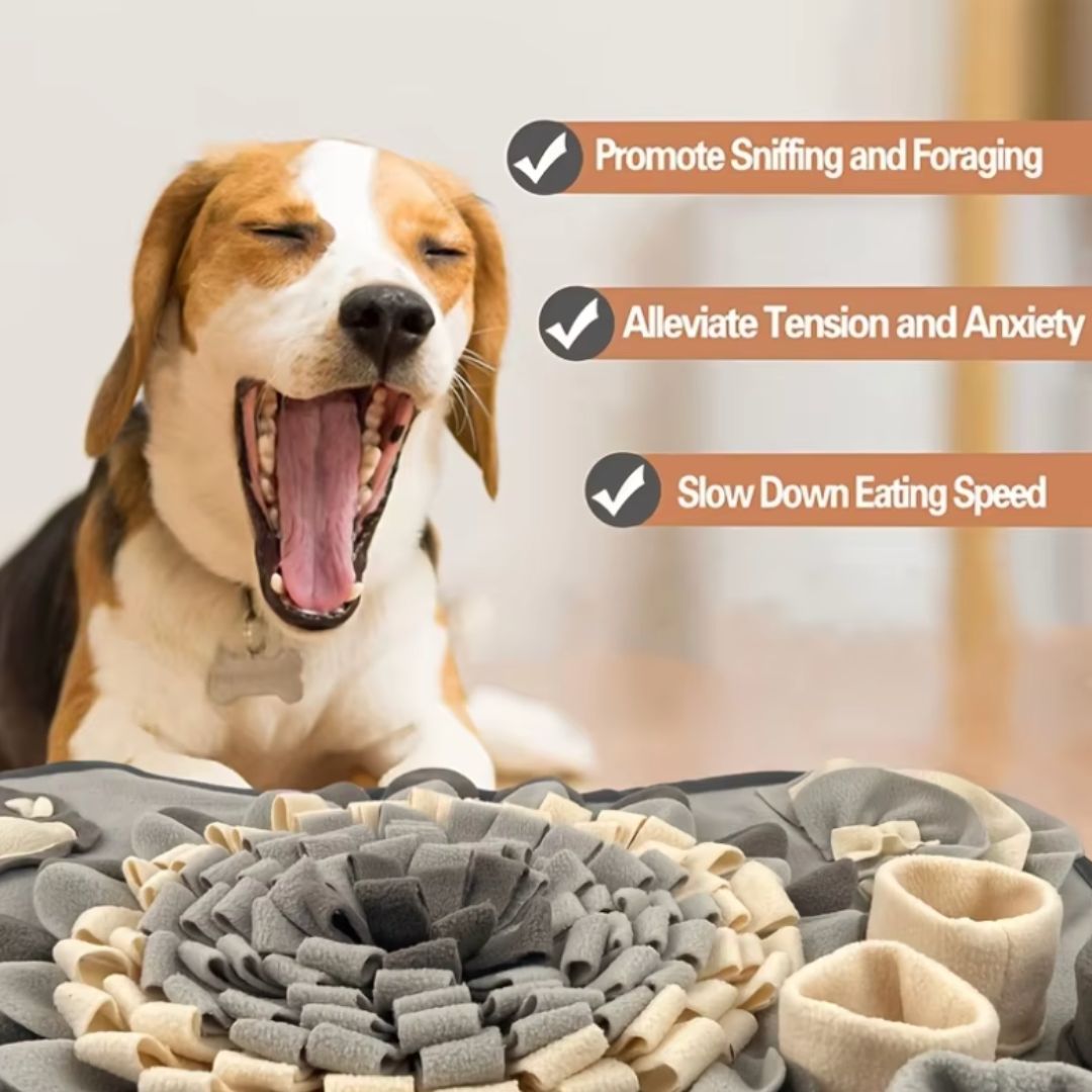Chevaroo XXL Dog Sniffing Mat