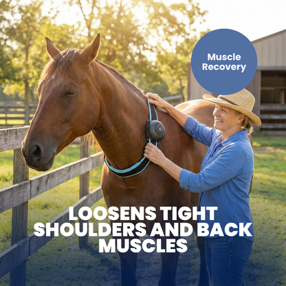 Chevaroo 2-In-1 Heat Cold Therapy