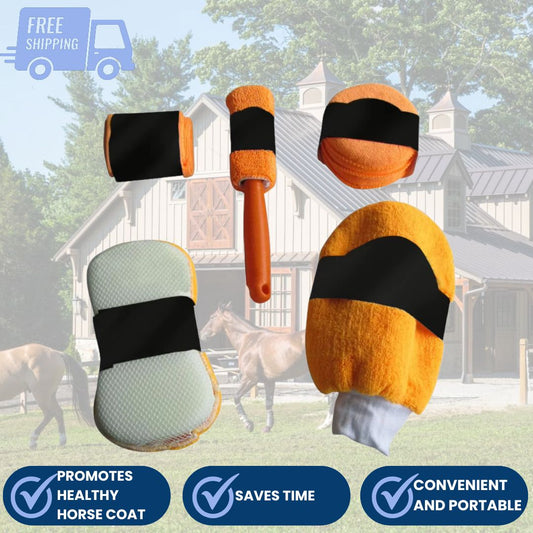 Cleaning Kit for Horses