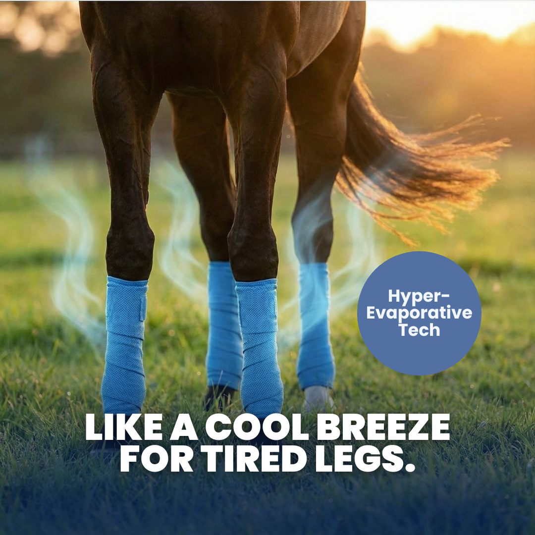 Chevaroo Inflammation Cooling Leg Wraps