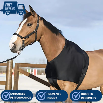 Chevaroo Horse Posture Corrector