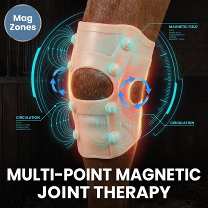 Chevaroo Magnetic Therapy Horse Knee and Hocks Support