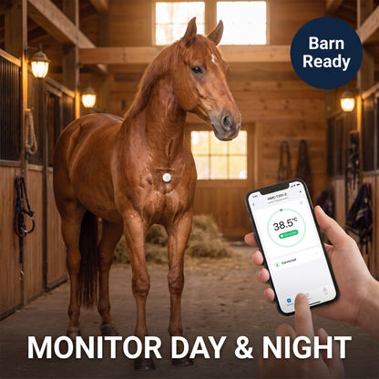 Chevaroo 24H Horse Thermometer