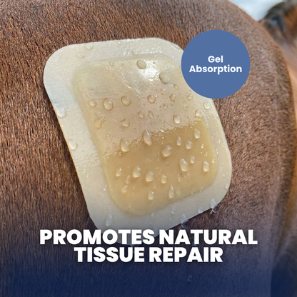 Chevaroo Horse Hydrocolloid Gel Patch Wound Healing
