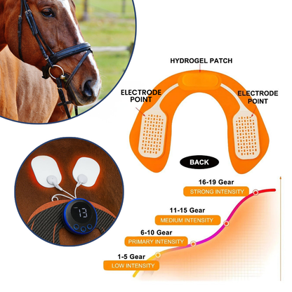 Chevaroo Full EMS Kit