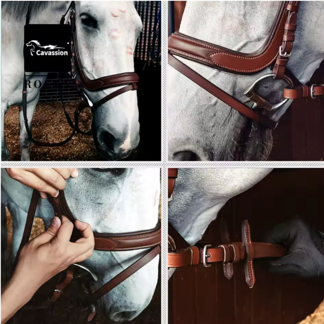 Chevaroo Gentle Nose Padded Bitless Bridle 2.0