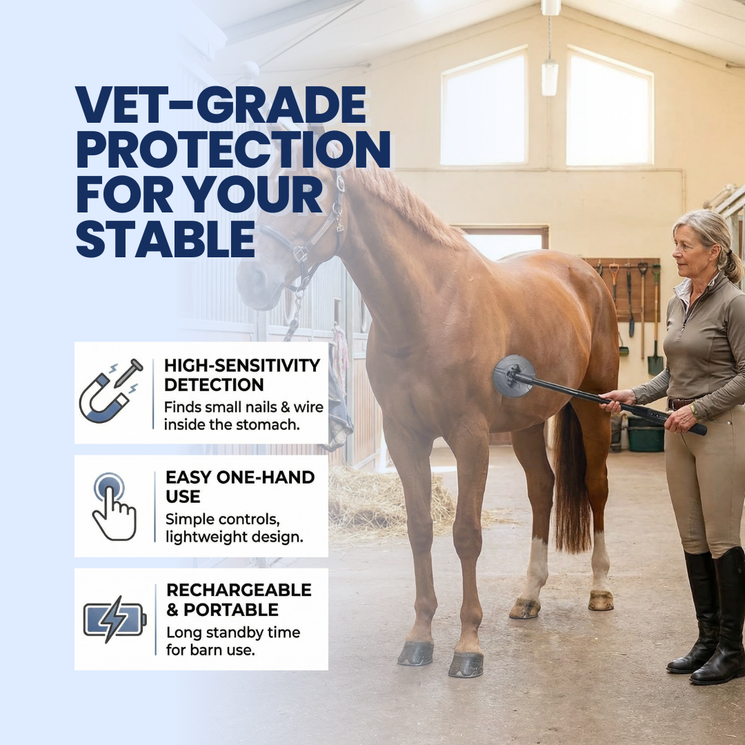 Détecteur de métaux Chevaroo Horse