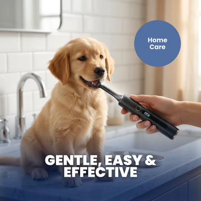 Chevaroo Dog Polishing Plaque Remover