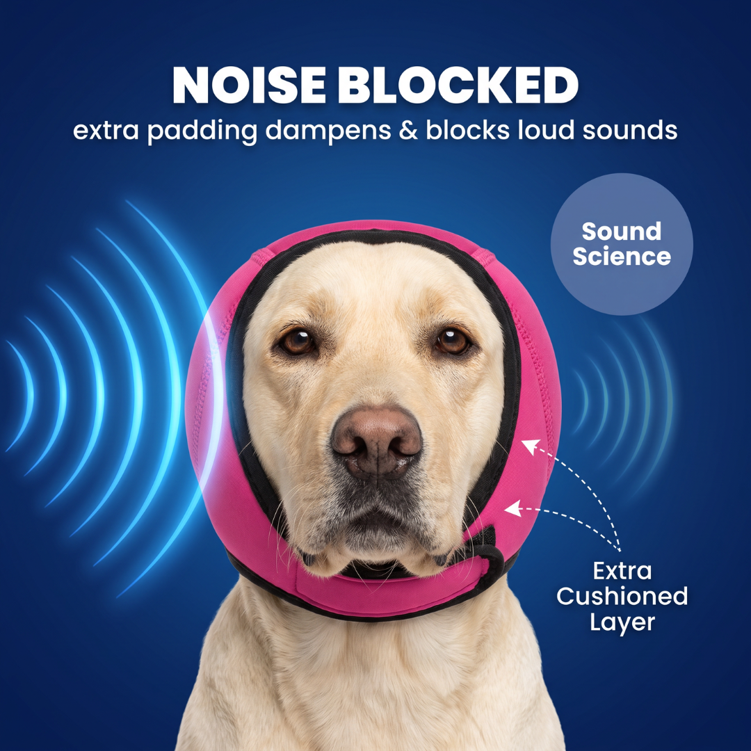 Chevaroo Extra Padded Anti-Barking & Calming Dog EarMuff