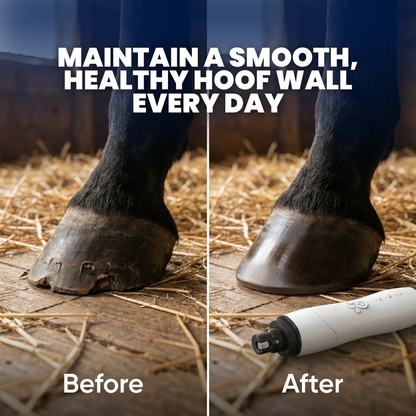 Chevaroo EquiSmooth Portable Hoof Buffer