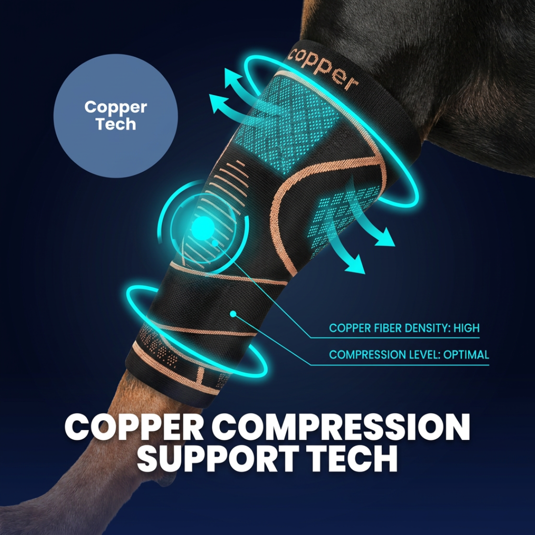 Chevaroo Dog & Cat Copper Brace