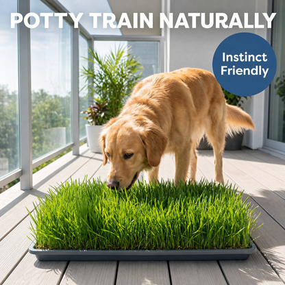 Chevaroo Fresh DIY Indoor & Outdoor Potty Training Grass Mat