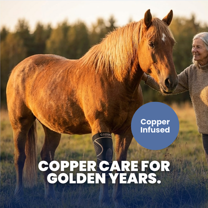 Chevaroo Horse Copper Brace