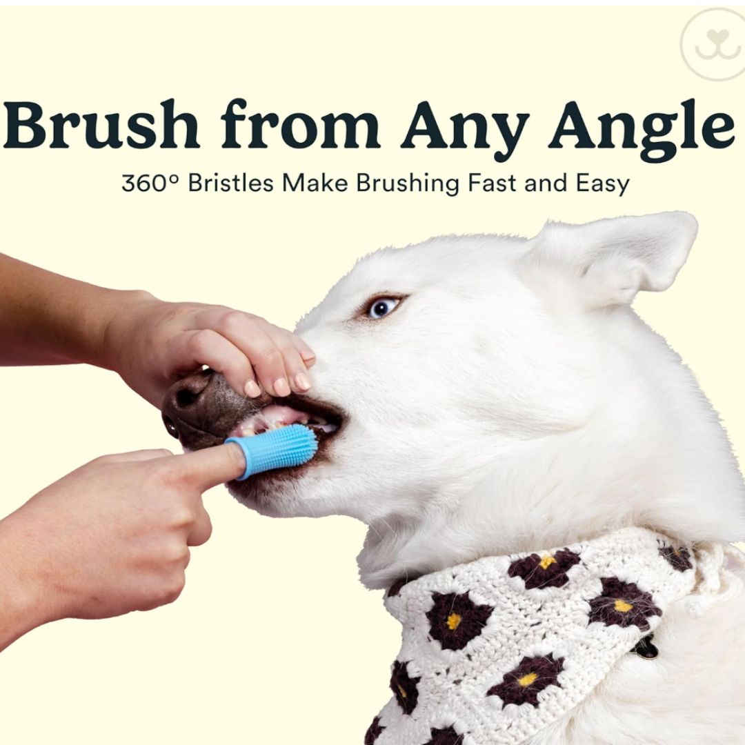 Chevaroo Dog 360 Miswak Toothbrush