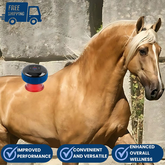 Chevaroo Horse Cupping Therapy