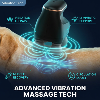 Chevaroo Dog 4 Heads Massager