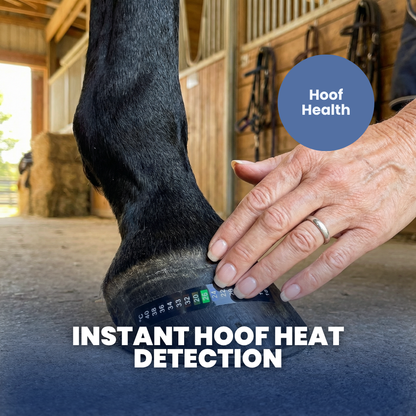 Chevaroo Digital Thermometer Adhesive Strip