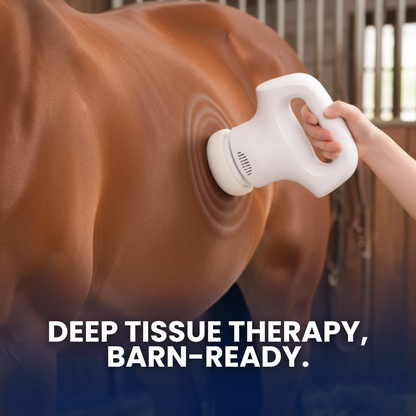 Chevaroo XXL Massager