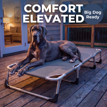 Chevaroo XXL Elevated Foldable Dog Bed