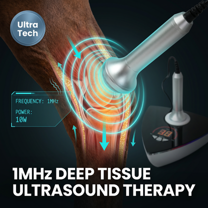 Chevaroo Ultrasound Pain Relief Device