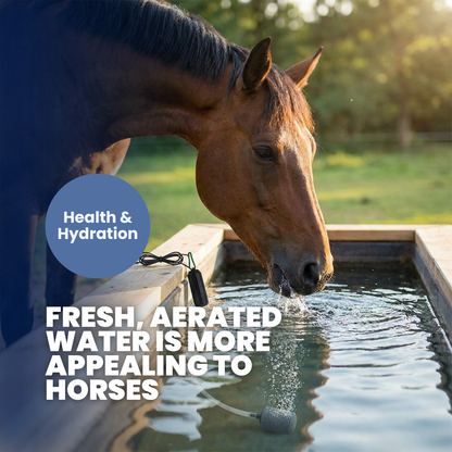 Chevaroo Horse Oxygenator Pump